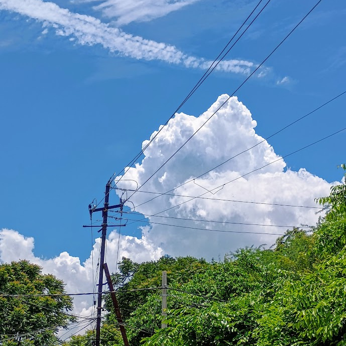 Photography F