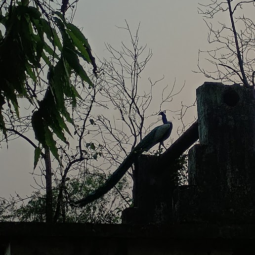 Photography I